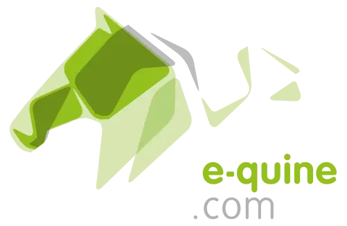 logo e-quine