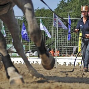 Werken met dubbele lijnen