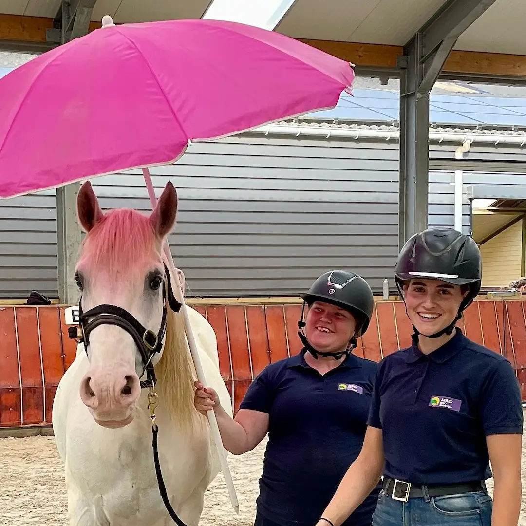 mbo hippisch, hippische opleiding, paardenopleiding, paardenschool, paard, paardenkennis