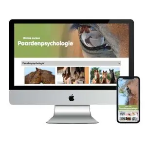 online cursus, paarden, paardenpsychologie, gedrag