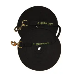 dubbele lijnen, longeren, paard, lange lijnen, paardengedragstrainer, e-quine.com
