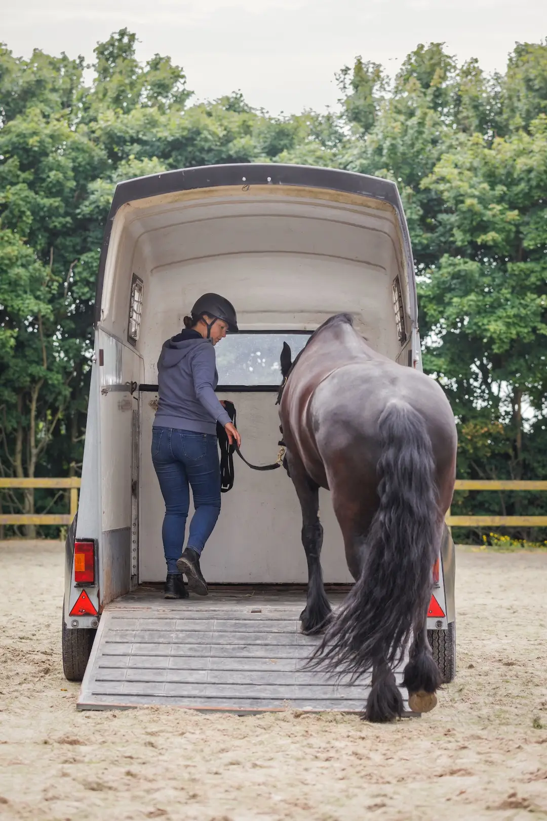 invloed, van, licht, trailer, onderzoek, media, artikel,