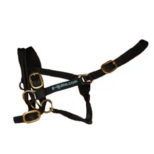 trainingshalster, paard, full, medium,blauw, paardengedragstrainer, trailerladen, obstakeltraining