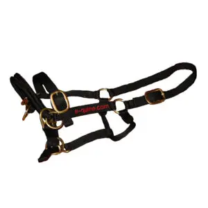 trainingshalster, paard, small, rood, paardengedragstrainer, trailerladen, obstakeltraining, grondwerk, e-quine.com