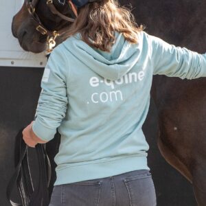 andersom, vervoeren, paardenbusje,