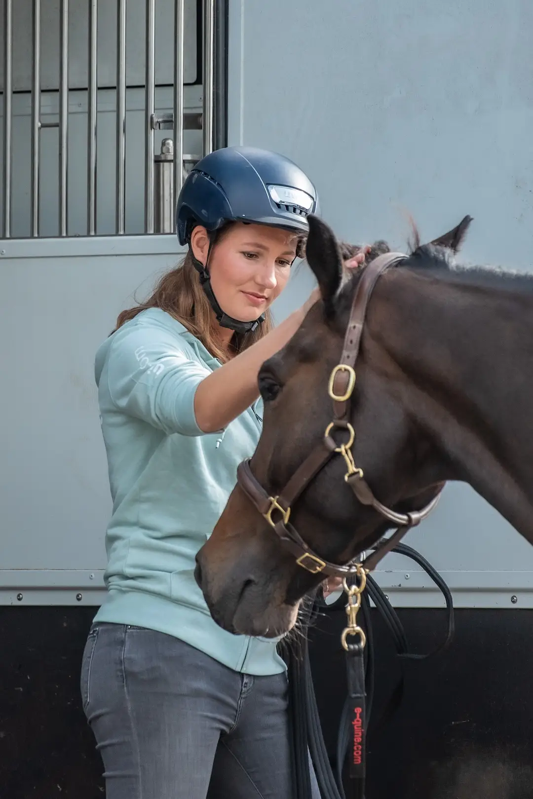 trailerladen, paardengedragstrainer, uitdaging, paardentrailer