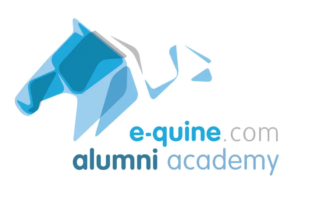 alumni training, KNHS, e-quine.com, instructeurs paard en gedrag, paardenopleiding