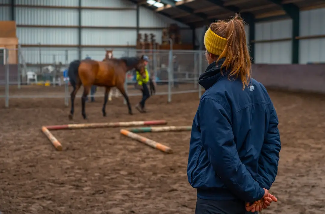 alumni training, KNHS, e-quine.com, instructeurs paard en gedrag, paardenopleiding
