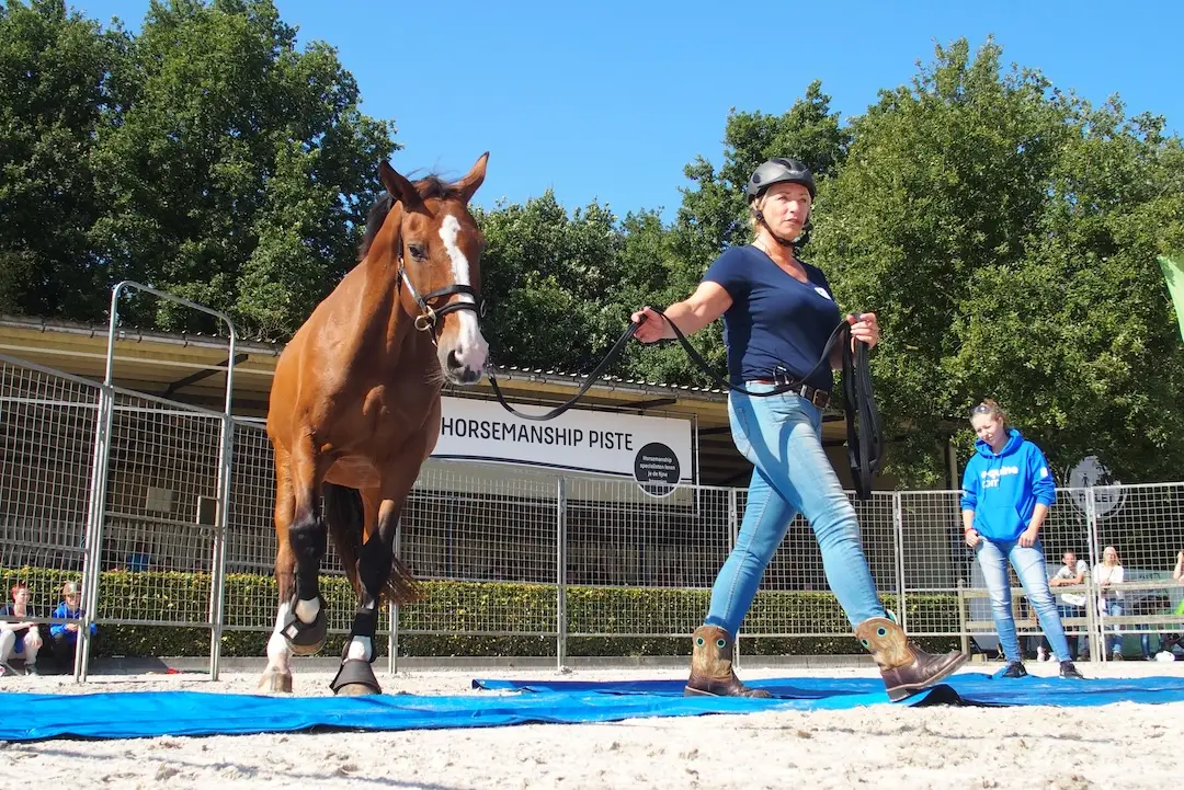 Annemarie van der toorn, paardengedragstrainer, e-quine.com, horse event