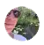 Susan