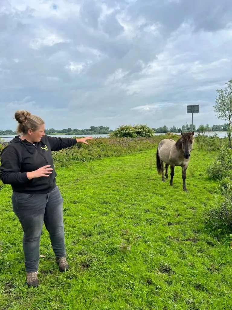 Tanja de bode, free nature, excursie konikpaarden, opleiding paard, kuddegedrag