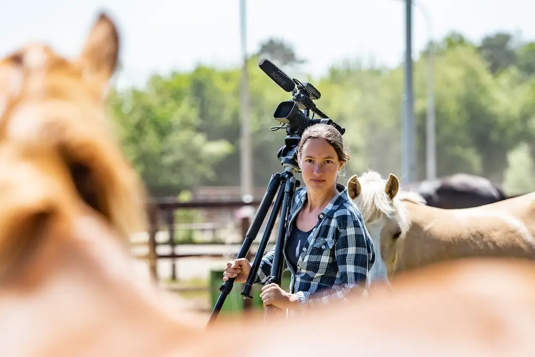 hippische samenwerking, videocontent paarden