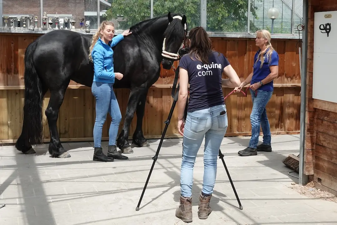 hippische samenwerking, videocontent paarden