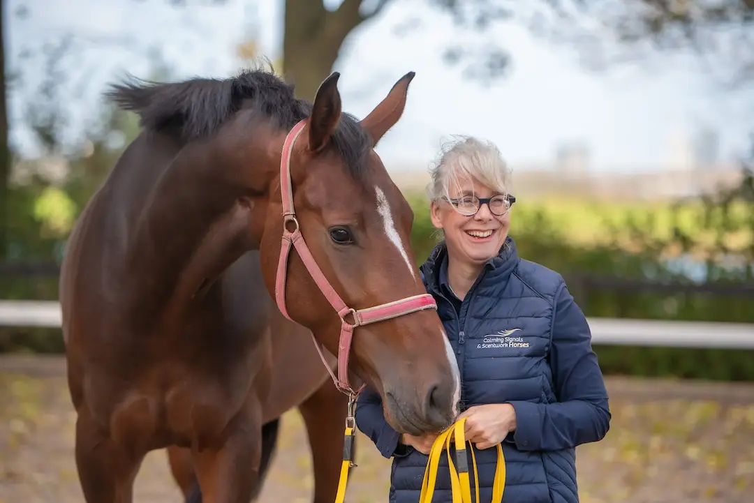 rachael draaisma, calming signals of horses, kalmerende signalen, speurwerk, online cursus