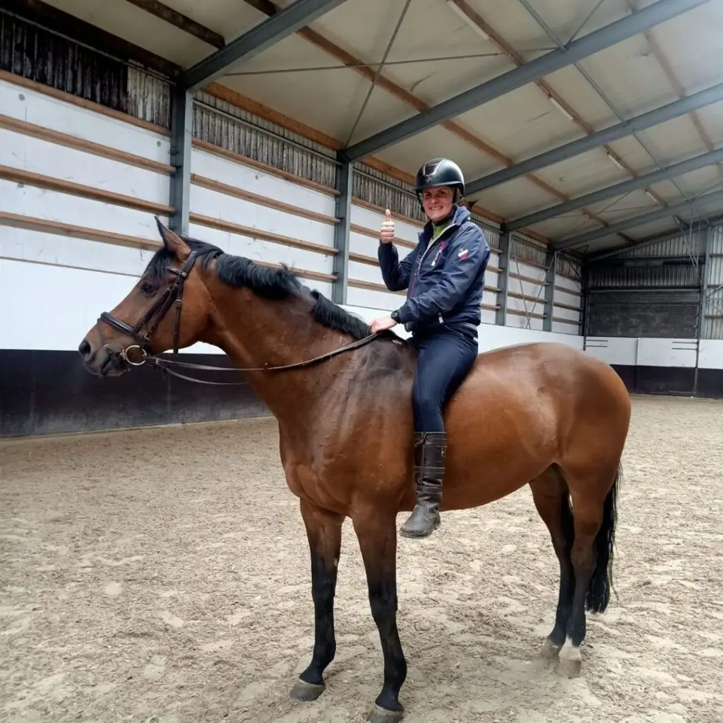 paard, door, trailer, dak, ongeluk, podcast, paardenverhalen,
