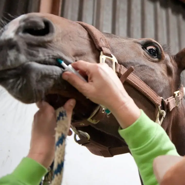 Bang, voor, dierenarts, wormenspuit, prikken,