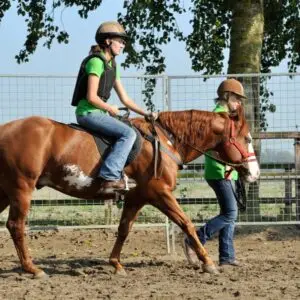 opstappen, paard, problemen, tips,