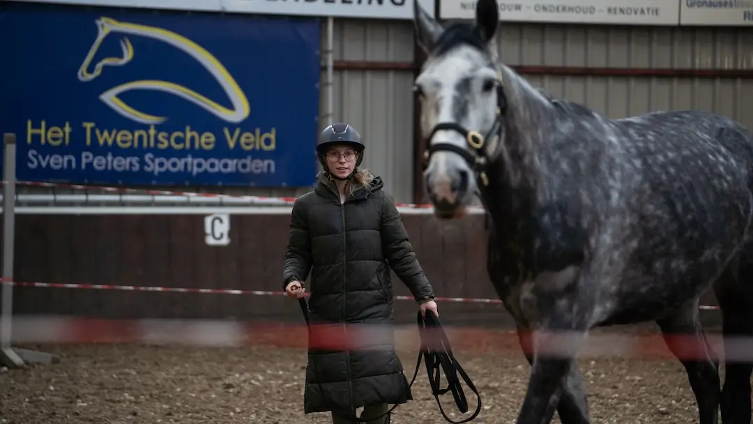 horsemanship, paardenopleiding, mbo hippisch, zone college, loswerken, paard