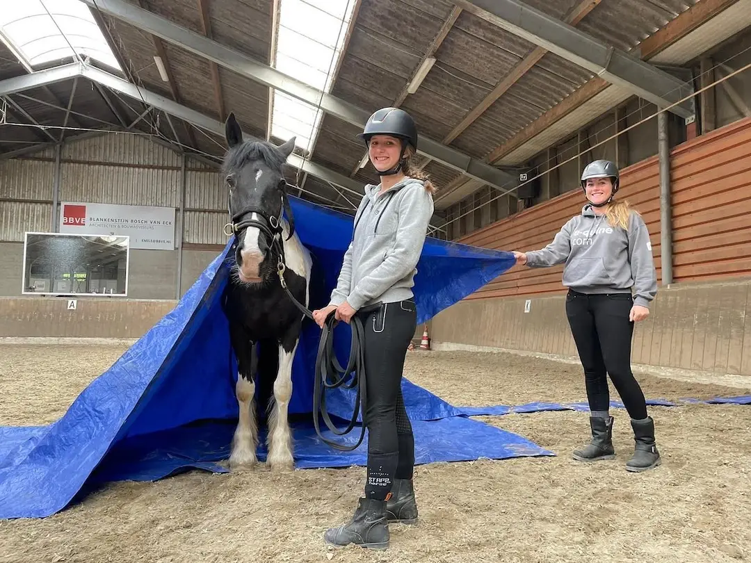 paardenopleiding, orun, KNHS, instructeur paard en gedrag, paardengedrag, paard, niveau 1, erkende diploma, Noord-Nederland