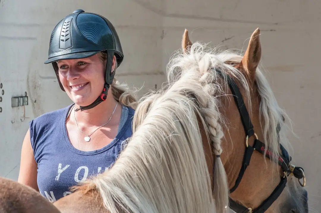 cursusdag paard, praktijkcursus, paardenmassage, obstakeltraining, communicatie, paard