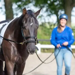 bang, voor, andere, paarden, angst, video,