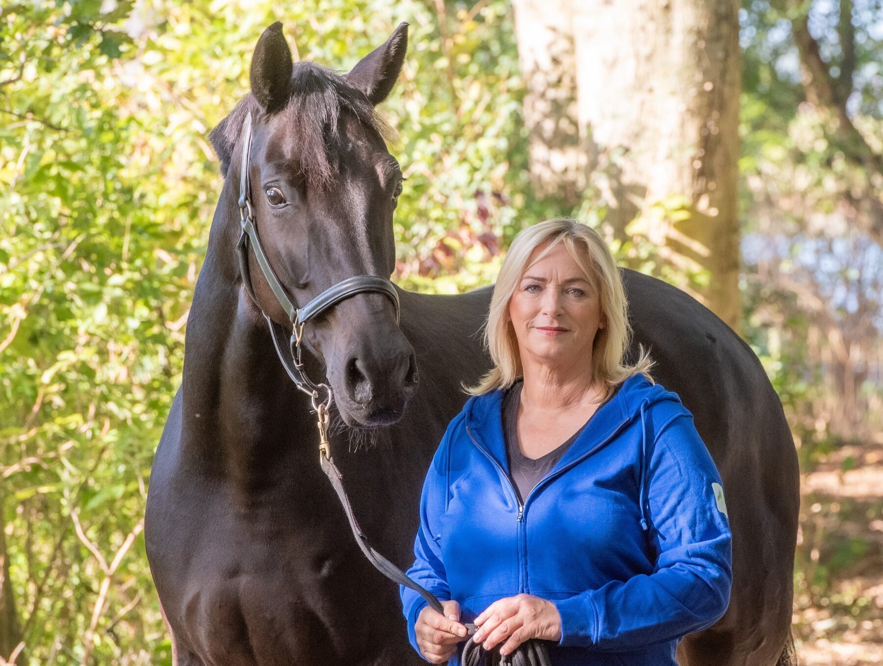 Annemarie van der toorn, paard, hippische ondernemer, eigen bedrijf paarden