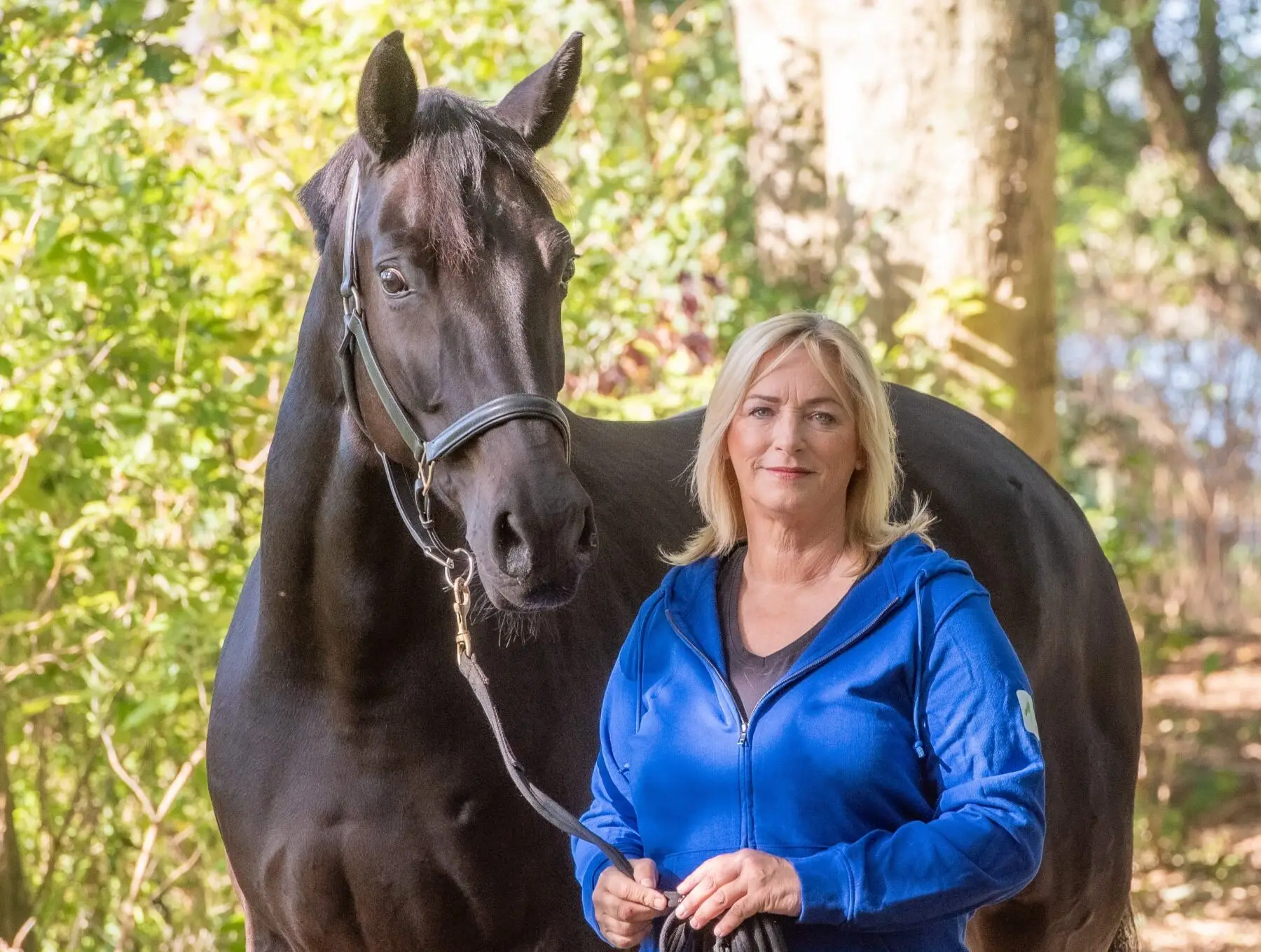 Annemarie van der toorn, paard, hippische ondernemer, eigen bedrijf paarden