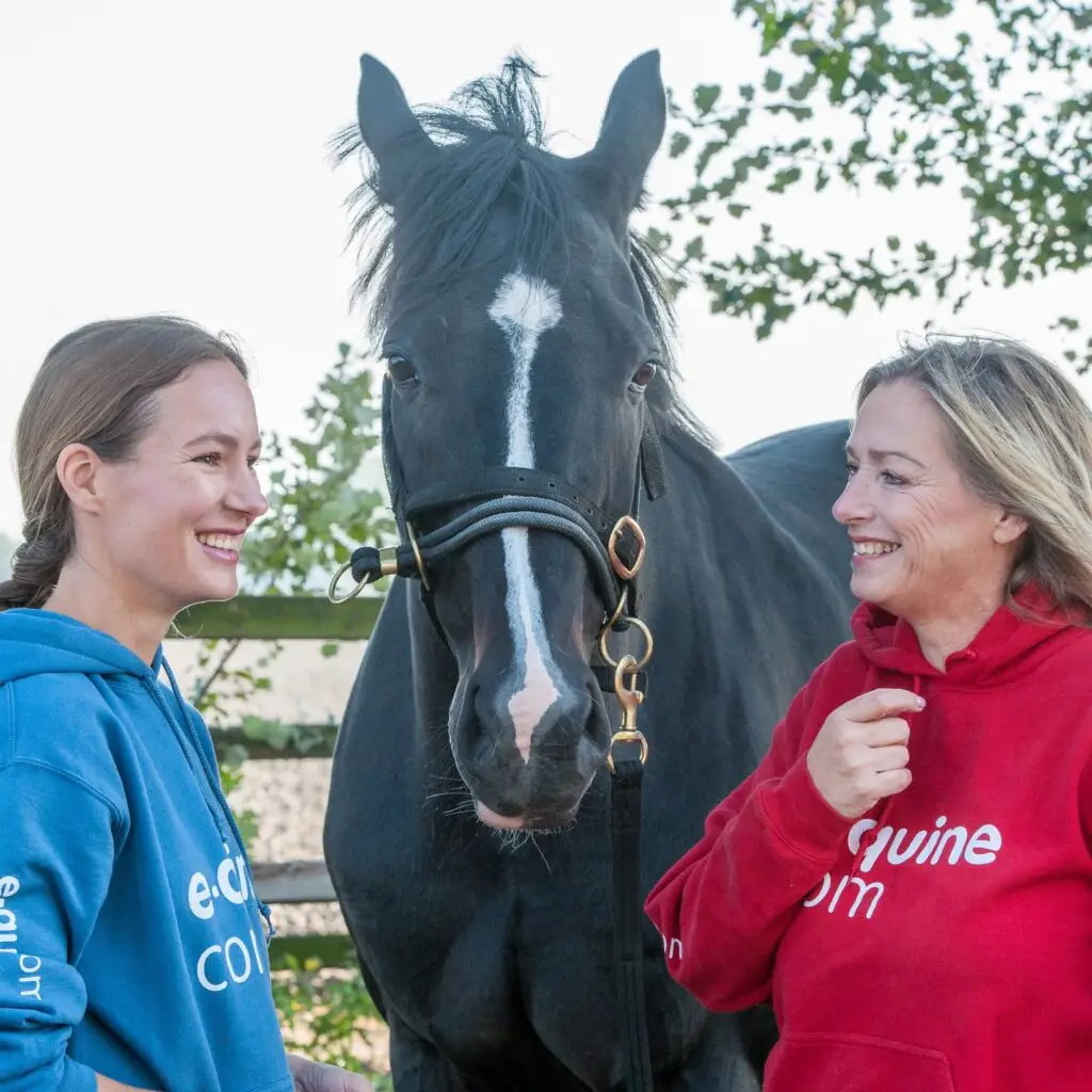 trailerladen, help, paard, met, trailerangst. tips,