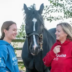 trailerladen, help, paard, met, trailerangst. tips,