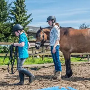 veilige, training, tips, grondwerk,