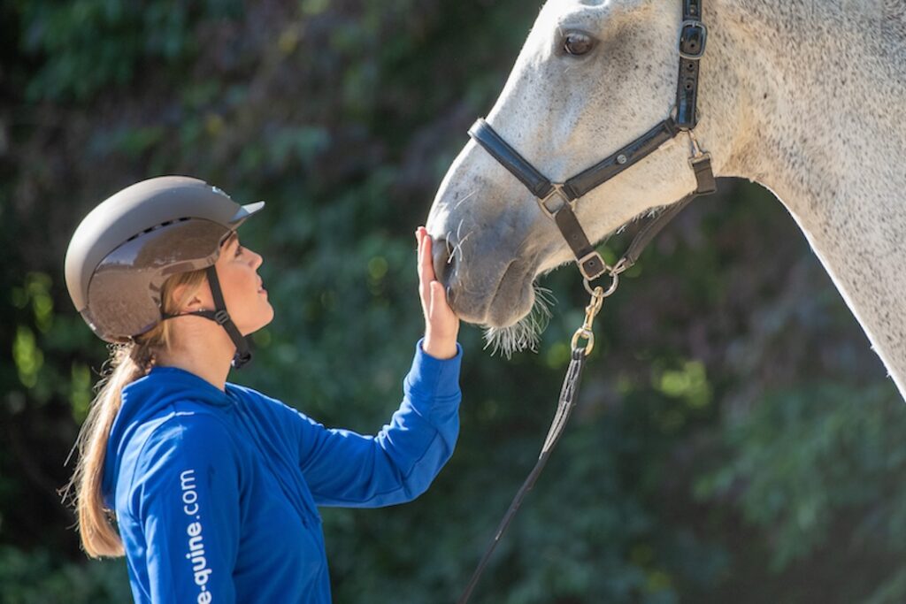 communicatie paard, media, artikel, blog, video, paardengedrag, gratis
