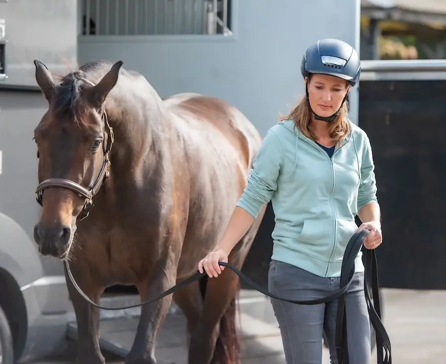 paardenopleiding, orun, KNHS, instructeur paard en gedrag, paardengedrag, paard