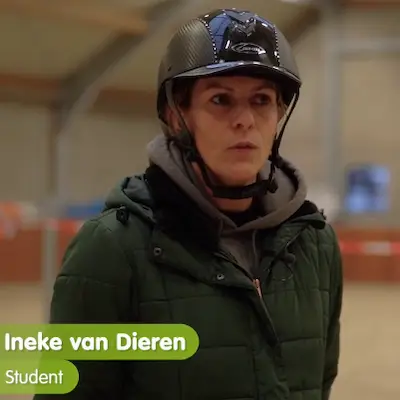 paardenopleiding, orun, KNHS, instructeur paard en gedrag, paardengedrag, paard, niveau 2, erkende diploma