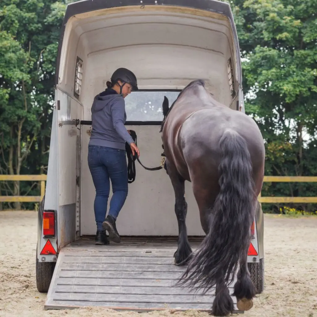 trailerladen, verlichting, moeilijk laden, curcus trailerladen. paard in trailer, paard,