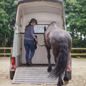 trailerladen, verlichting, moeilijk laden, curcus trailerladen. paard in trailer, paard,