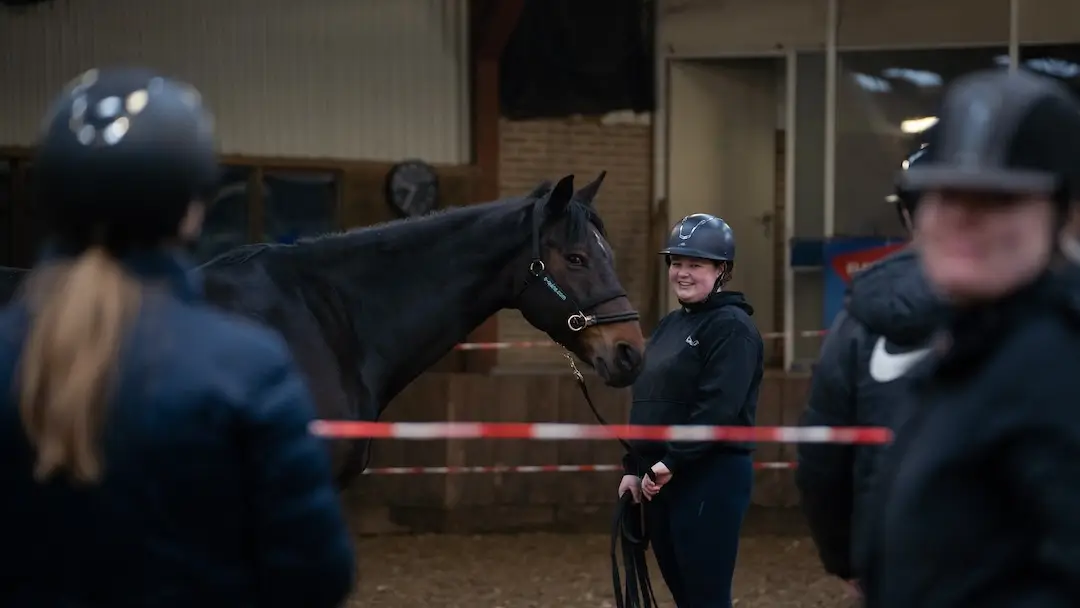MBO, uitstroom gedrag, horsemanship, grondwerk, ORUN niveau 2