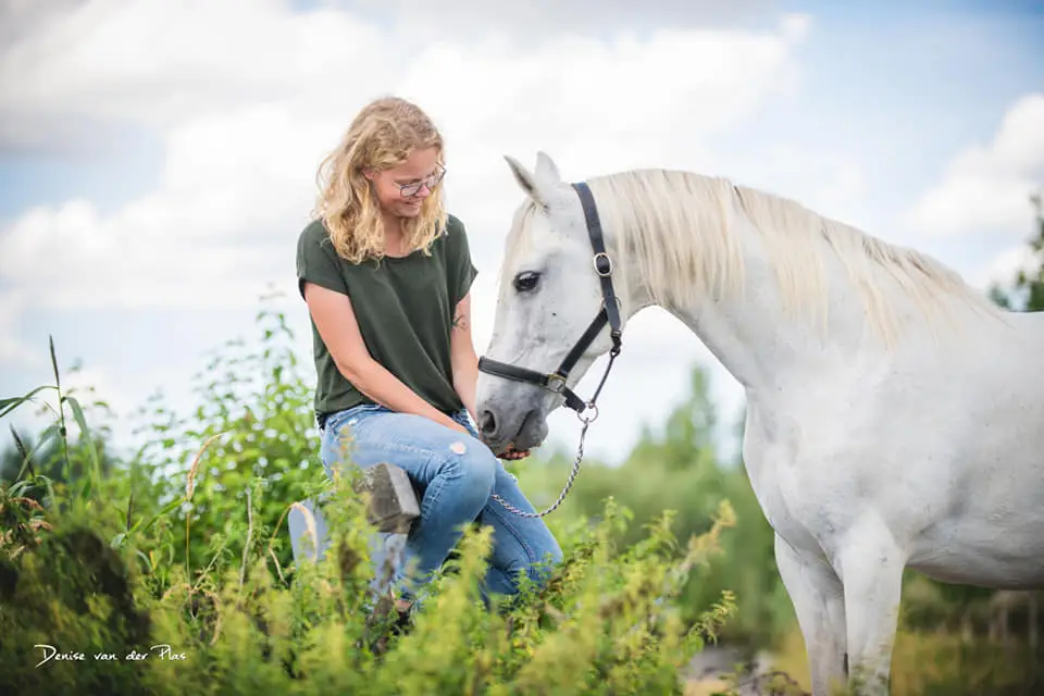 het afgekeurde paard