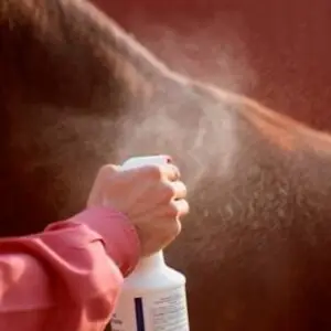 vliegenspray, paard, pardengedragstrainer, bang