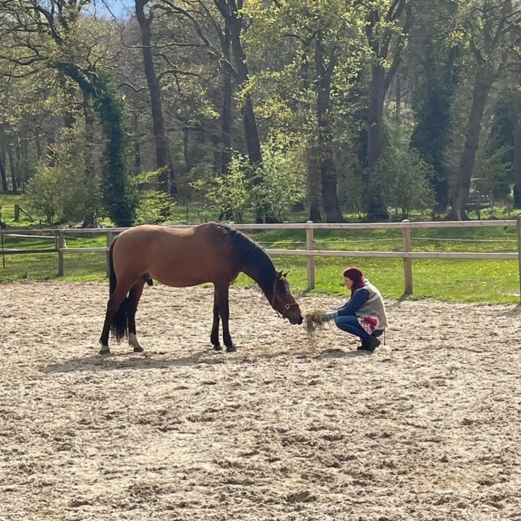vertrouwen, paard, podcast vals paspoort naar onvoorwaardelijke liefde