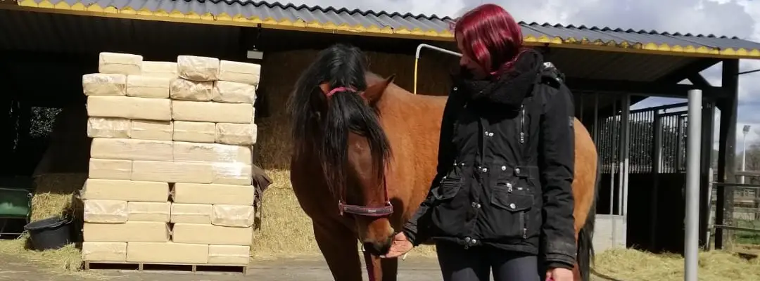 Paarden, podcast, vals paspoort naar onvoorwaardelijke liefde