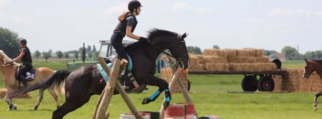 springen, paarden, les, stoerder paard