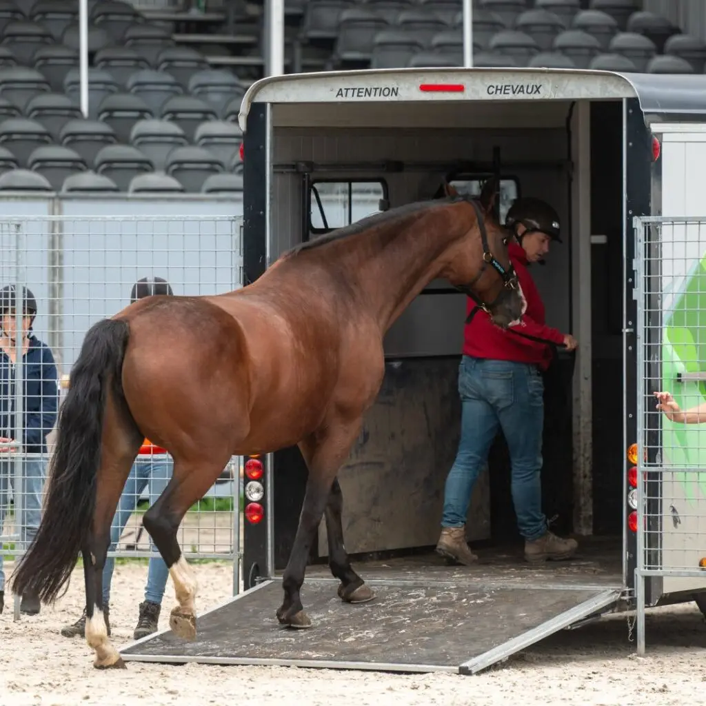 lastige, en, soms, gevaarlijke, situatie, trailer, niet, op, trailerprobleem,