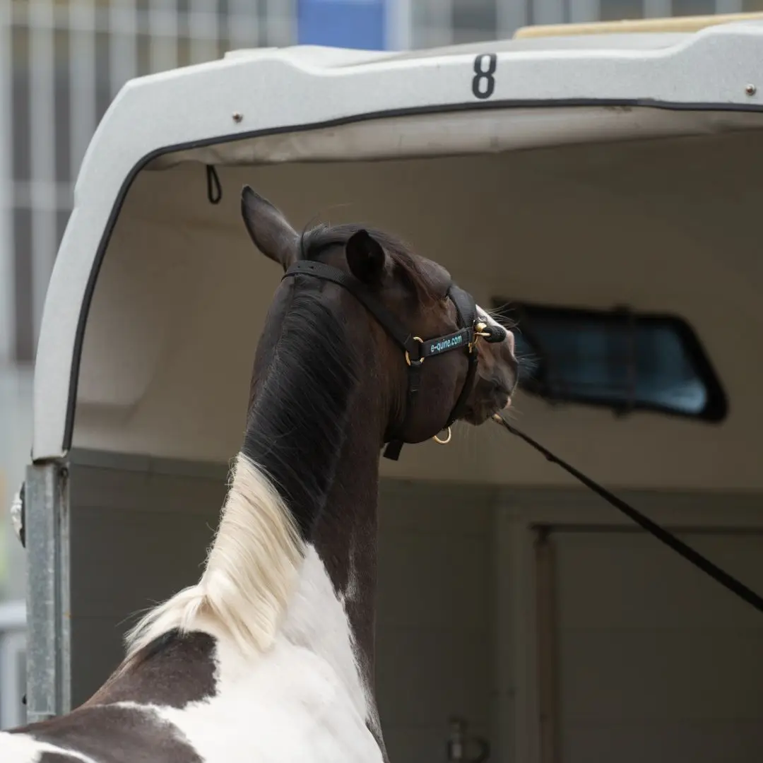 voor, de, trailer, staat, hij, stil, trailerladen, problemen,