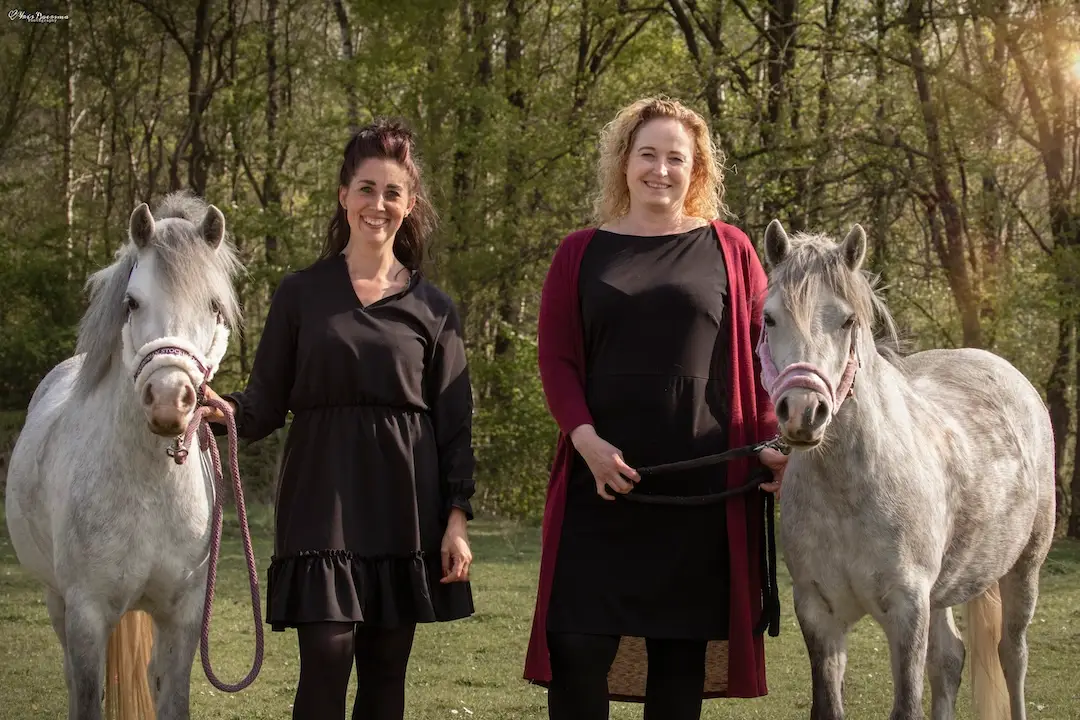 GGZ, moventis, equitherapie, opleiding, paardencoach, paardentherapie