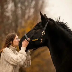 paarden, podcast, stoerder paard, esdr,