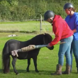 Achterbenen, aanraken, video, bang