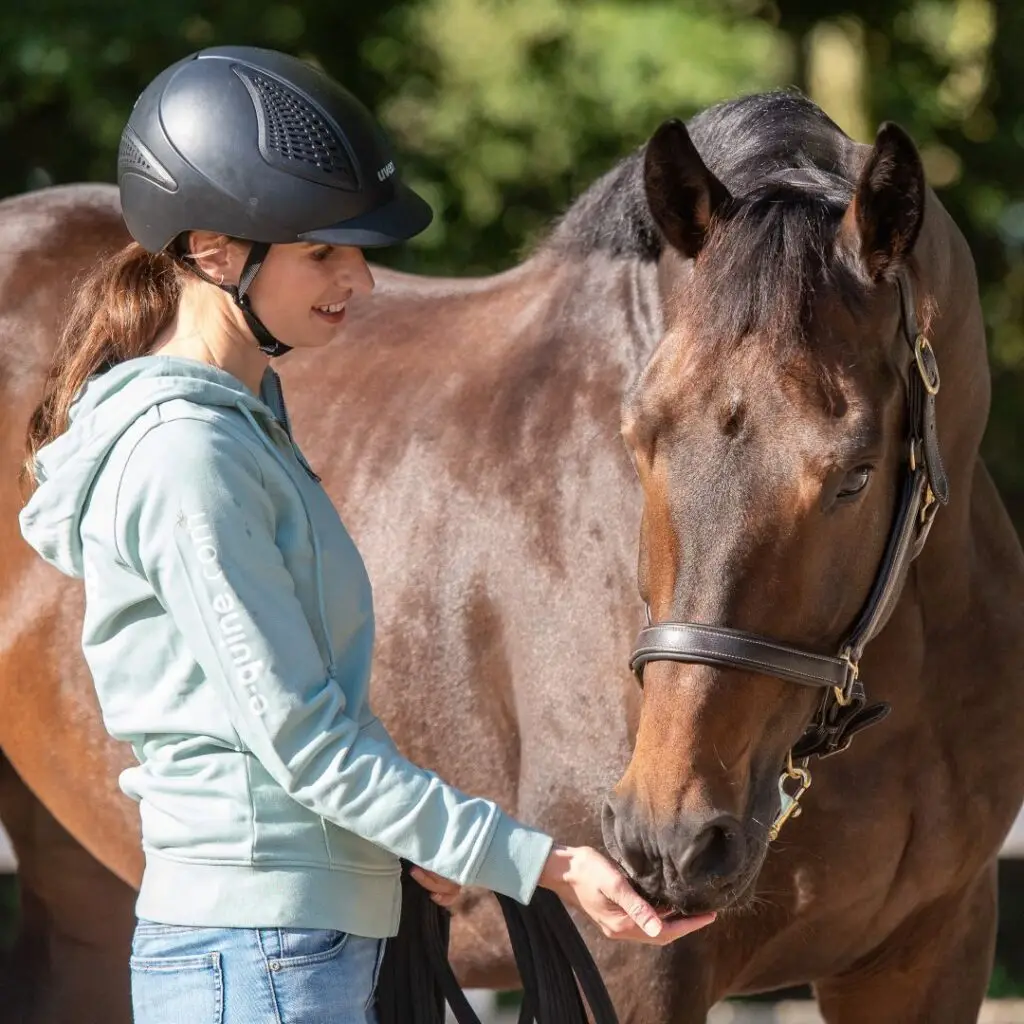 Less, is, more, paard, snuffelt, hand, training, herhaling