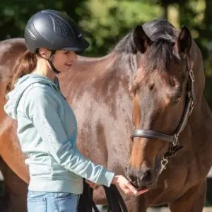 Less, is, more, paard, snuffelt, hand, training, herhaling