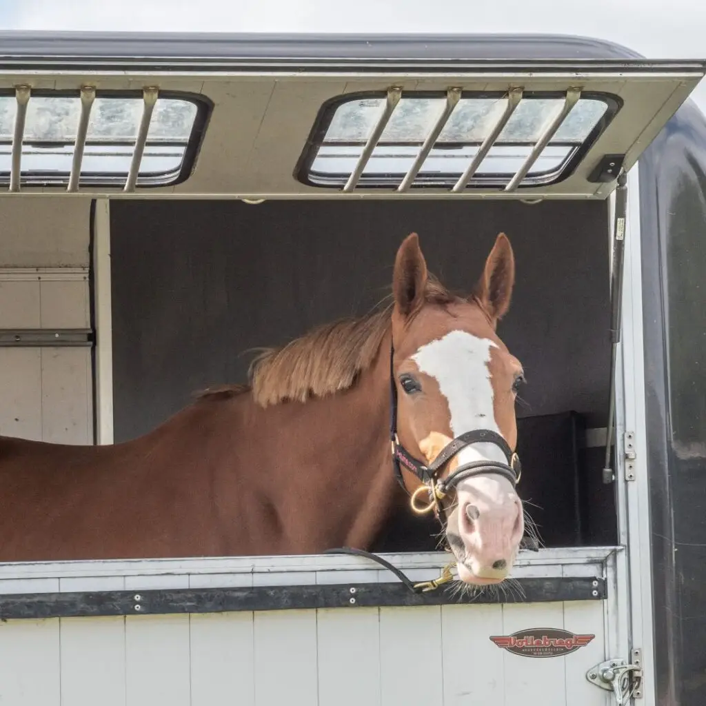 trailer, niet, in, probleem, uitdaging, trailerprobleem, bang.