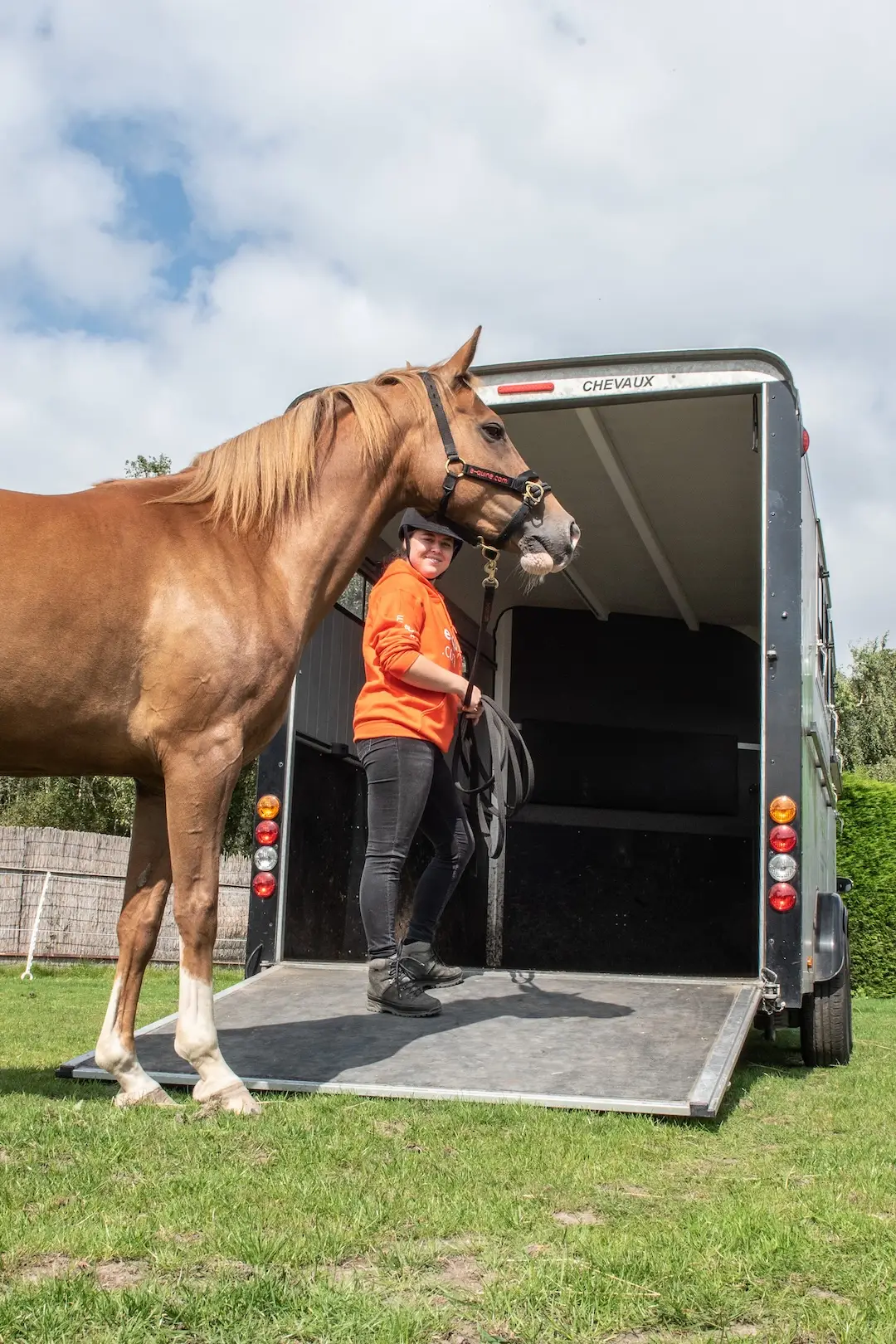 trailerladen, challenge, paard, trailer, laadprobleem, uitdagen gedrag